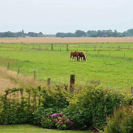 Litzkow 12601 * Morsum (Sylt)