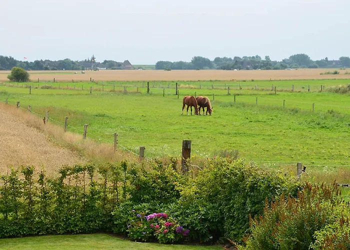 Litzkow 12601 * Morsum (Sylt)